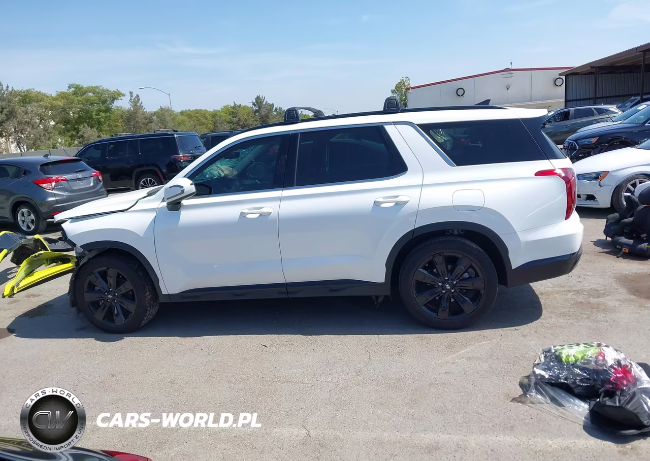 2024 Hyundai Palisade Xrt VIN:KM8R34GE8RU767619 - 15