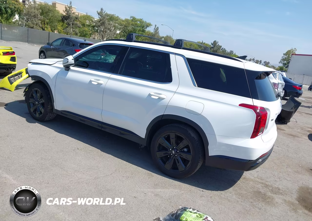 2024 Hyundai Palisade Xrt VIN:KM8R34GE8RU767619 - 3