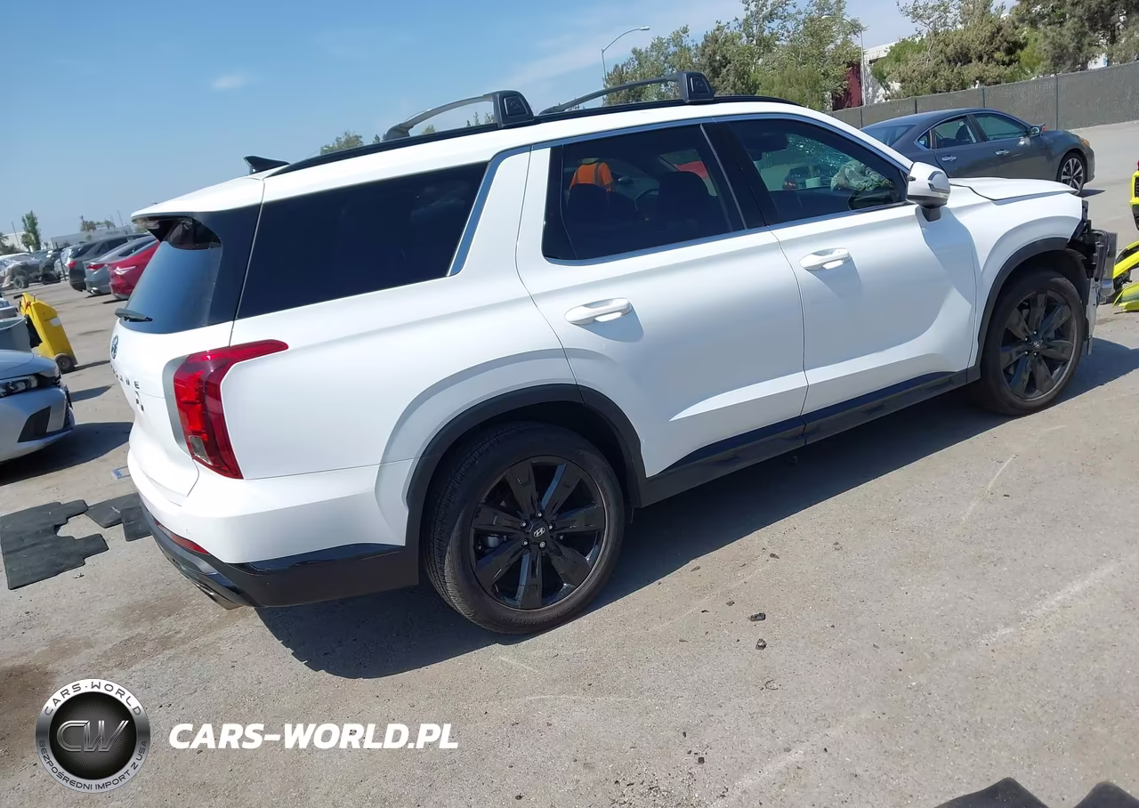 2024 Hyundai Palisade Xrt VIN:KM8R34GE8RU767619 - 4