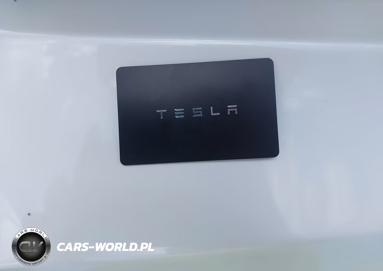 2020 Tesla Model 3 Long Range Dual Motor All-Wheel Drive VIN:5YJ3E1EB6LF719855 - 10