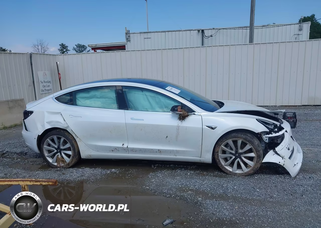 2020 Tesla Model 3 Long Range Dual Motor All-Wheel Drive VIN:5YJ3E1EB6LF719855 - 12