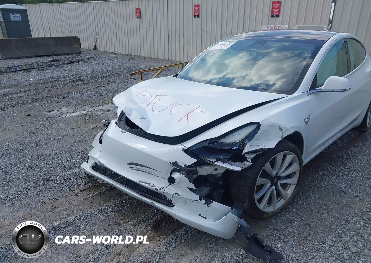 2020 Tesla Model 3 Long Range Dual Motor All-Wheel Drive VIN:5YJ3E1EB6LF719855 - 2