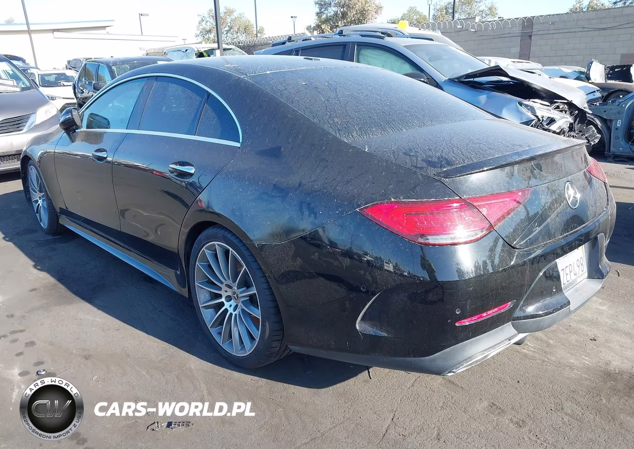 2019 Mercedes-Benz Cls 450 VIN:WDD2J5JB7KA028237 - 3