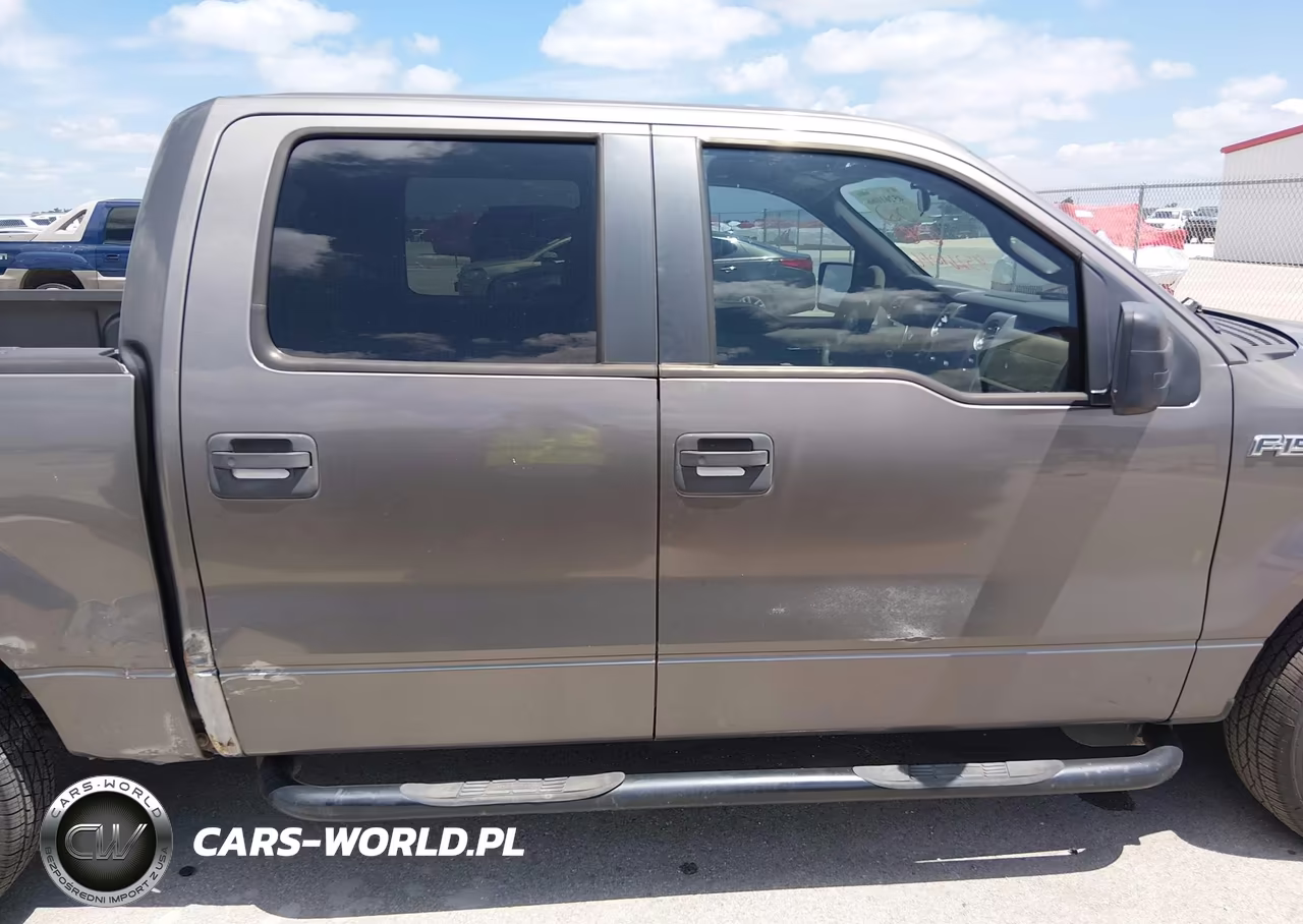 2010 Ford F-150 Fx2 Sport-Xl-Xlt VIN:1FTEW1C81AKE31321 - 13