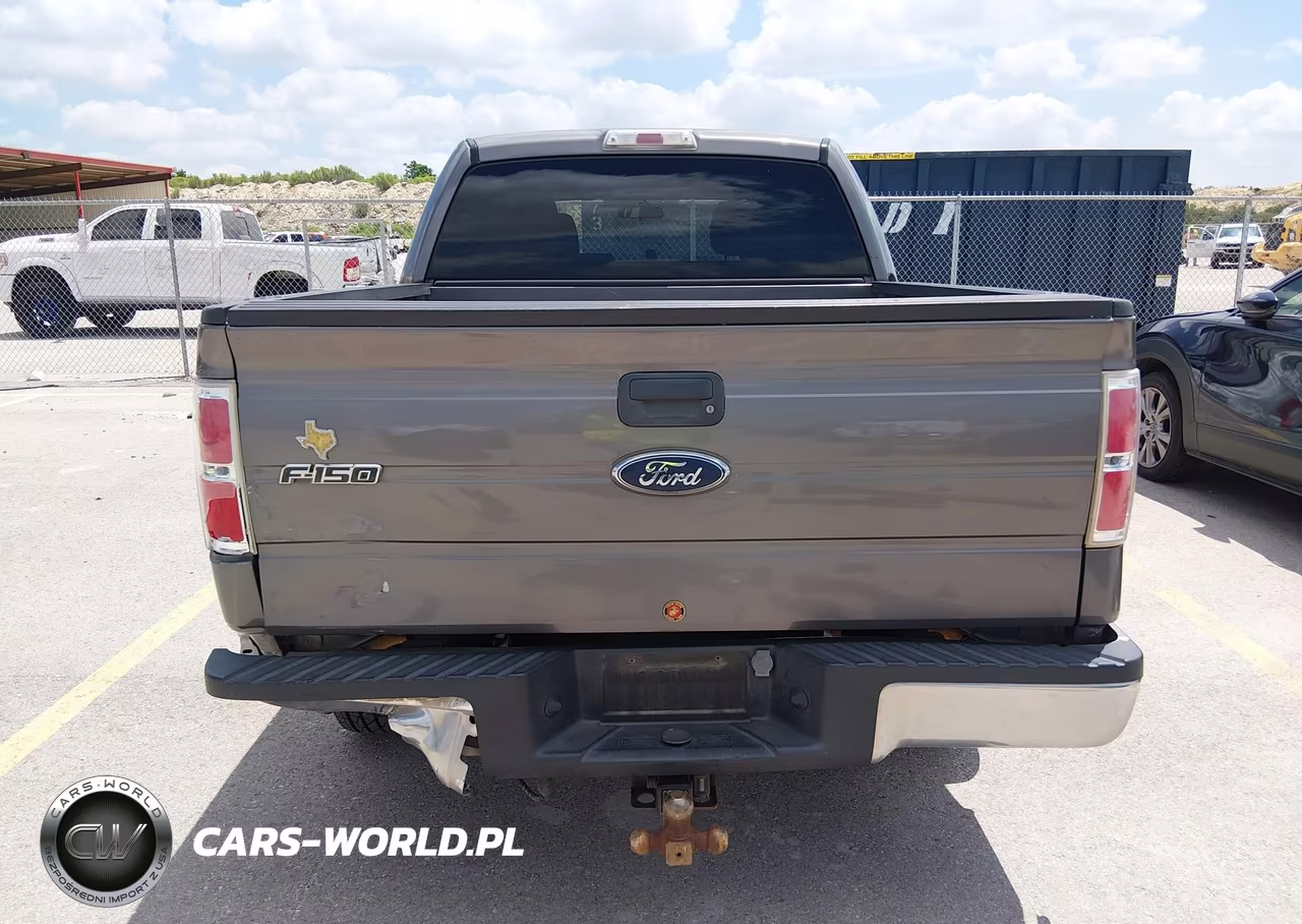 2010 Ford F-150 Fx2 Sport-Xl-Xlt VIN:1FTEW1C81AKE31321 - 16