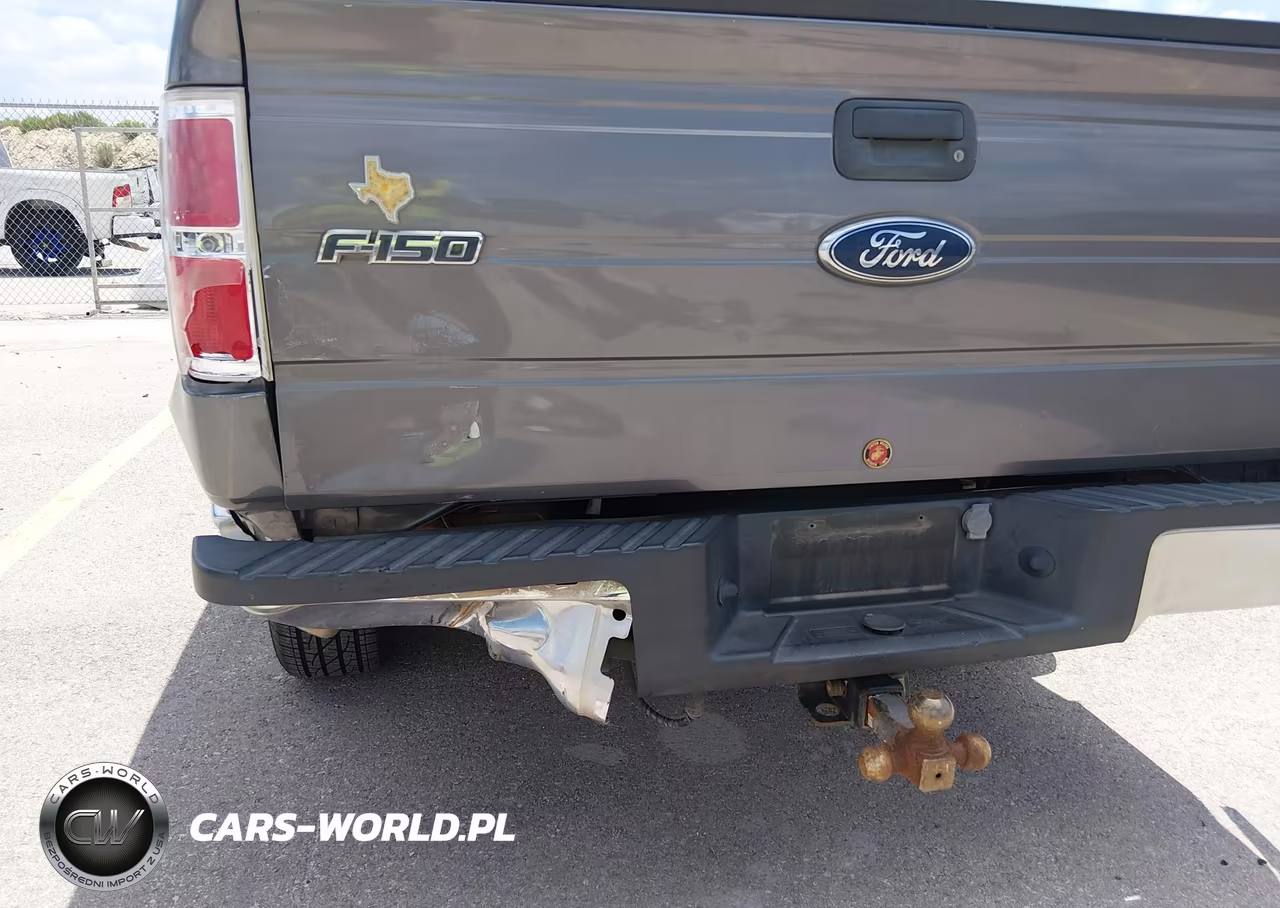 2010 Ford F-150 Fx2 Sport-Xl-Xlt VIN:1FTEW1C81AKE31321 - 18