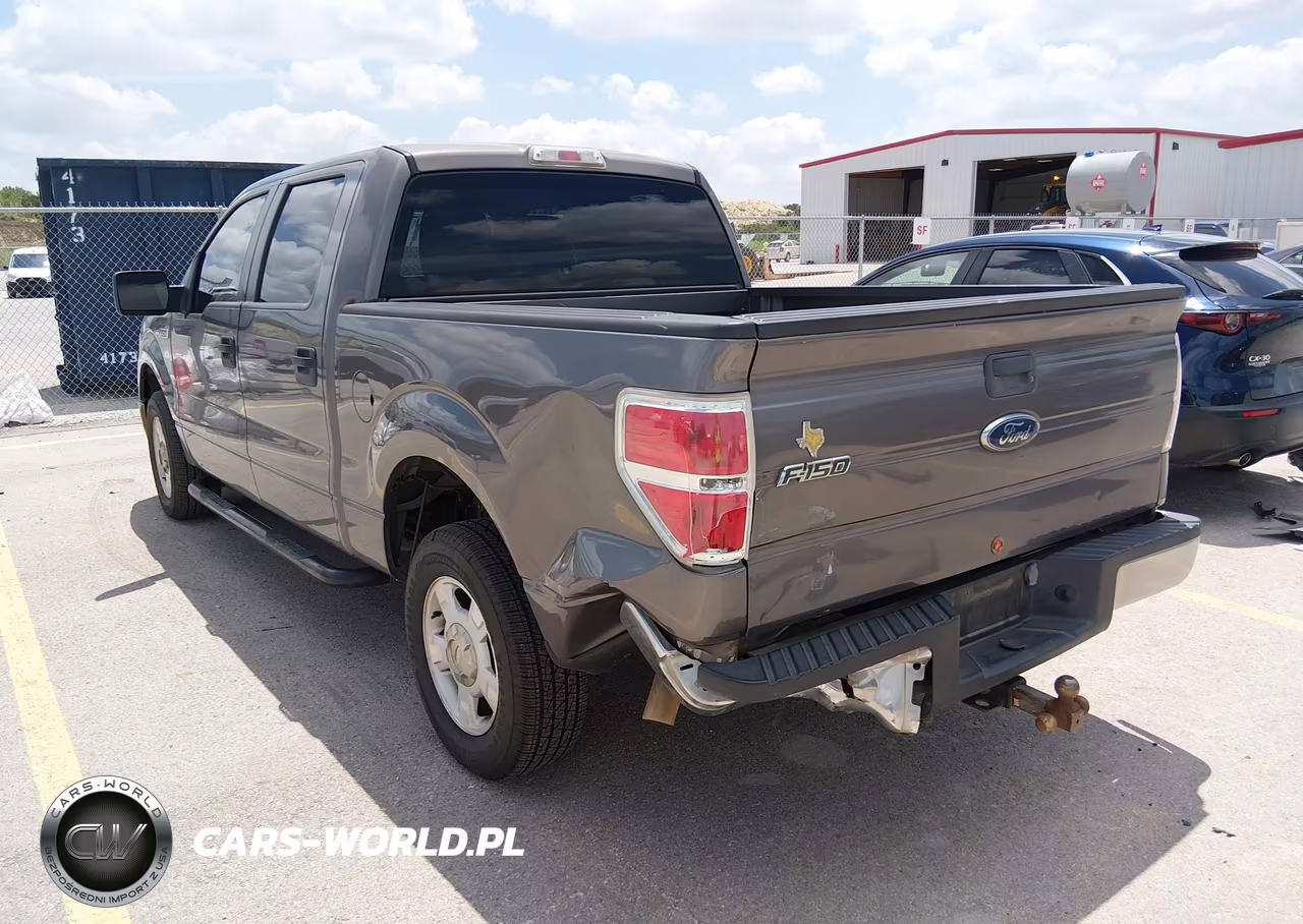 2010 Ford F-150 Fx2 Sport-Xl-Xlt VIN:1FTEW1C81AKE31321 - 3