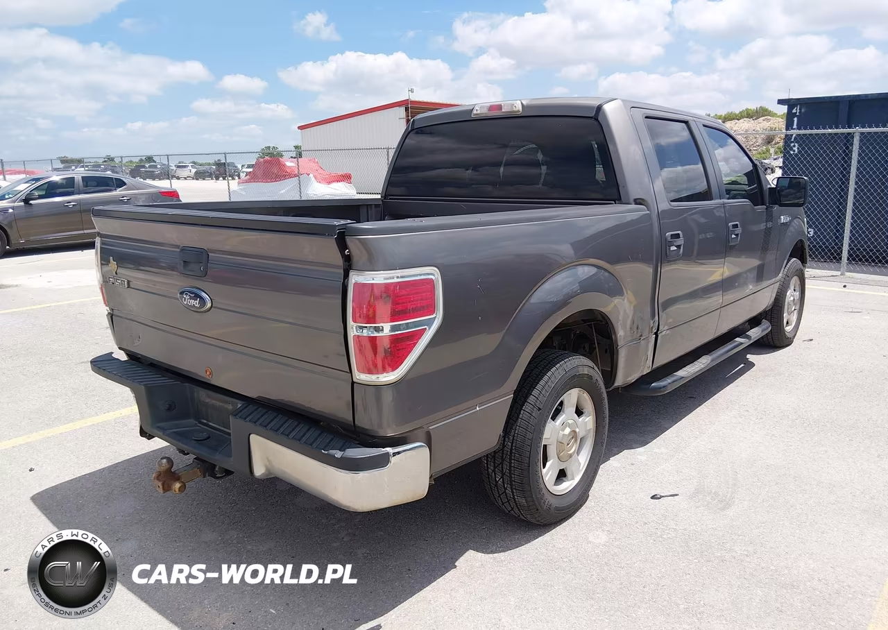 2010 Ford F-150 Fx2 Sport-Xl-Xlt VIN:1FTEW1C81AKE31321 - 4