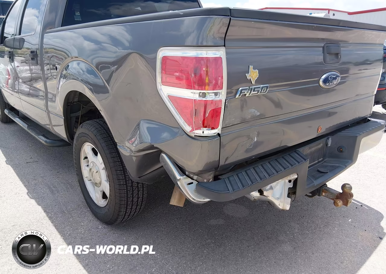 2010 Ford F-150 Fx2 Sport-Xl-Xlt VIN:1FTEW1C81AKE31321 - 6