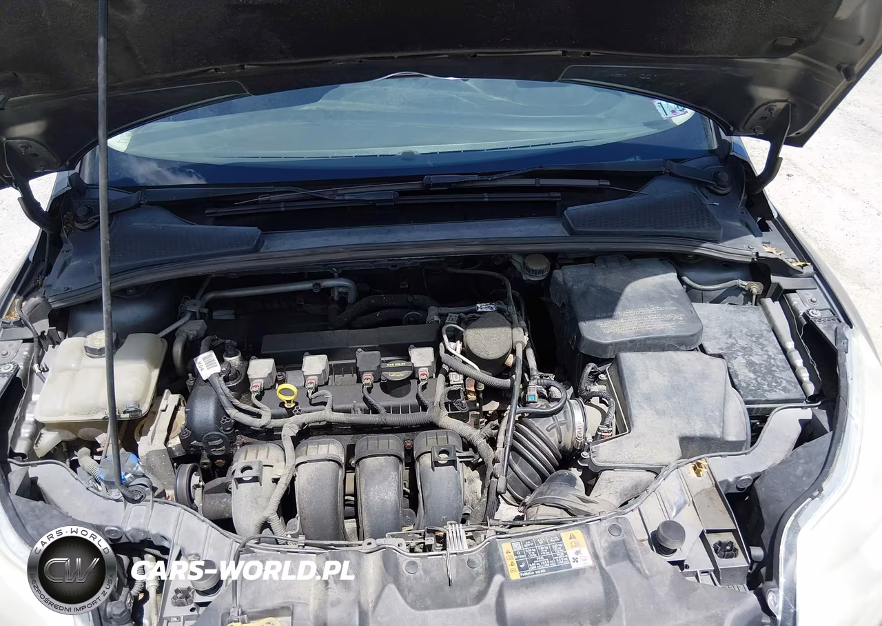 2014 Ford Focus Se VIN:1FADP3F28EL272525 - 10