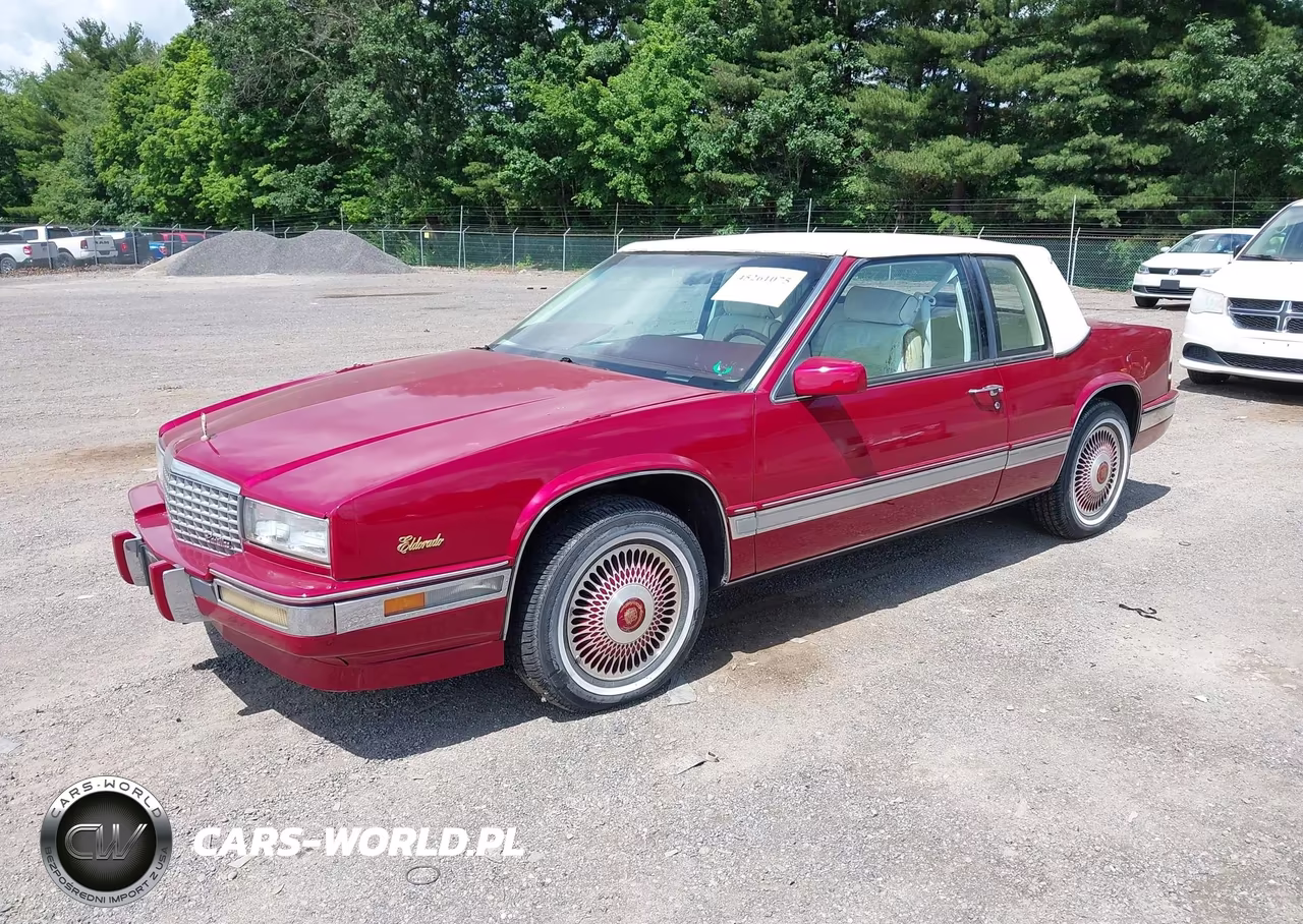 1989 Cadillac Eldorado VIN:1G6EL1150KU621976 - 2