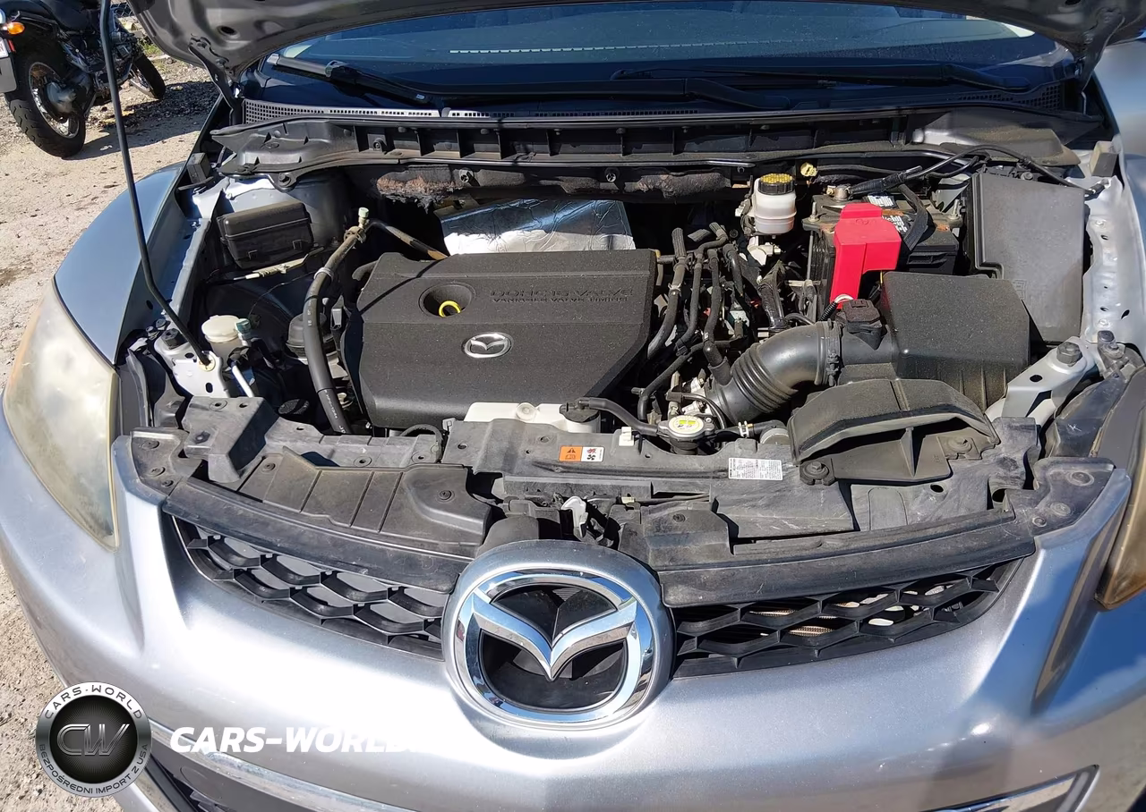 2010 Mazda Cx-7 I Sport VIN:JM3ER2W59A0338337 - 10