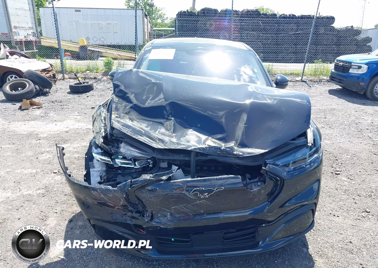 2025 Ford Mustang Mach-E Premium VIN:3FMTK3SU5SMA21186 - 13