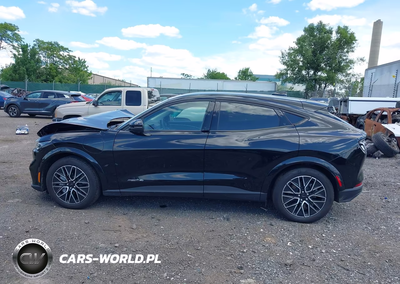 2025 Ford Mustang Mach-E Premium VIN:3FMTK3SU5SMA21186 - 15