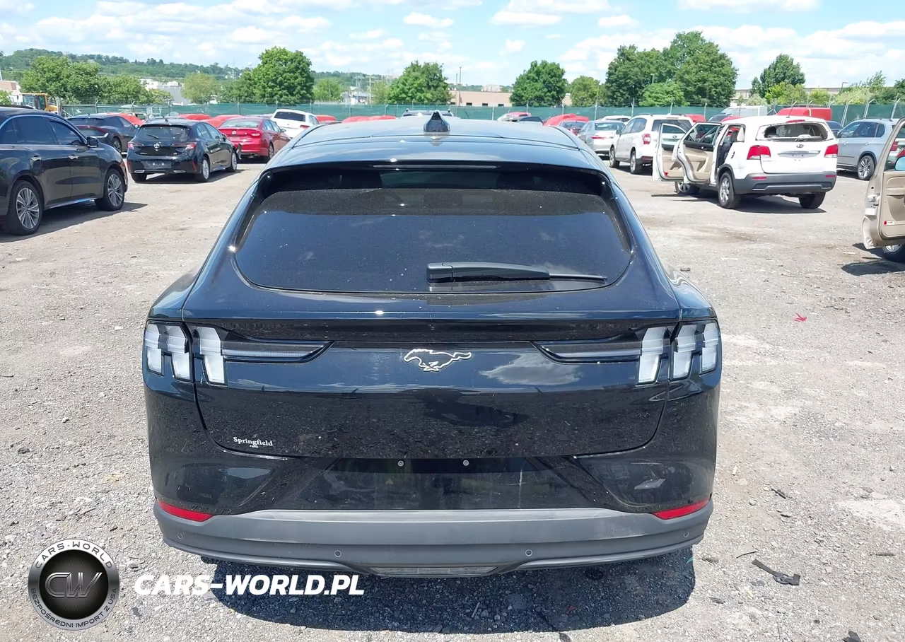 2025 Ford Mustang Mach-E Premium VIN:3FMTK3SU5SMA21186 - 17