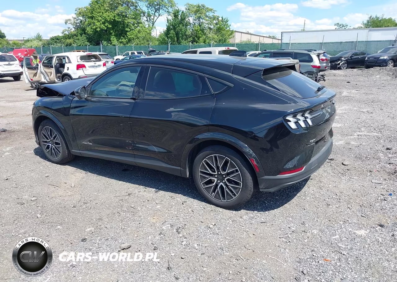 2025 Ford Mustang Mach-E Premium VIN:3FMTK3SU5SMA21186 - 3