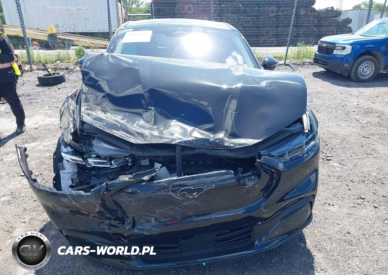 2025 Ford Mustang Mach-E Premium VIN:3FMTK3SU5SMA21186 - 6