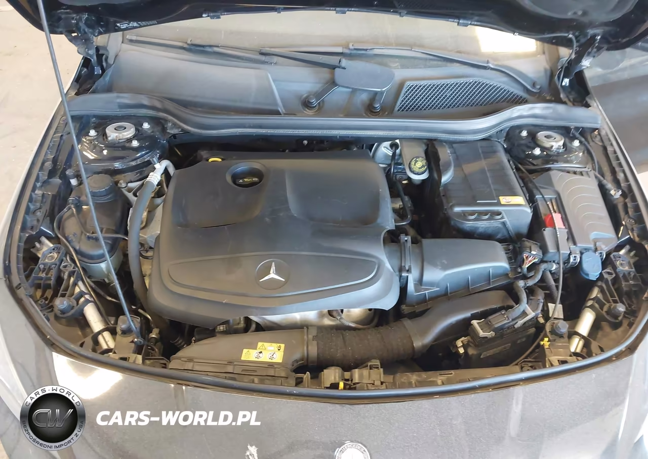 2014 Mercedes-Benz Cla 250 VIN:WDDSJ4EB7EN041104 - 10