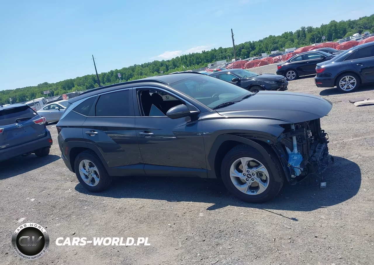 2022 Hyundai Tucson Sel VIN:5NMJBCAE2N8139113 - 13
