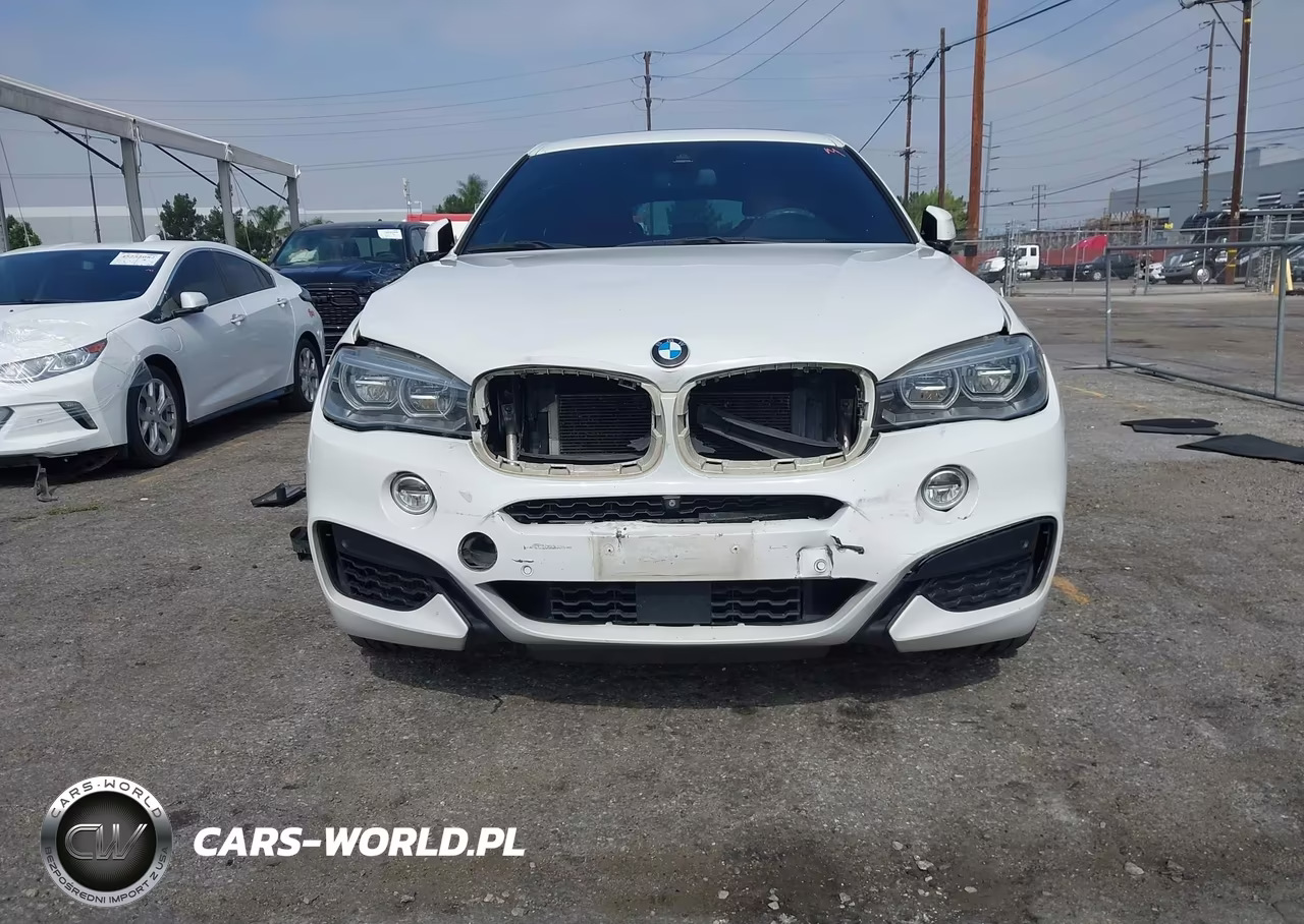 2018 BMW X6 xDrive50I VIN:5UXKU6C58J0Z66622 - 13