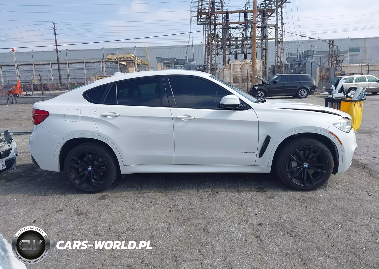 2018 BMW X6 xDrive50I VIN:5UXKU6C58J0Z66622 - 14