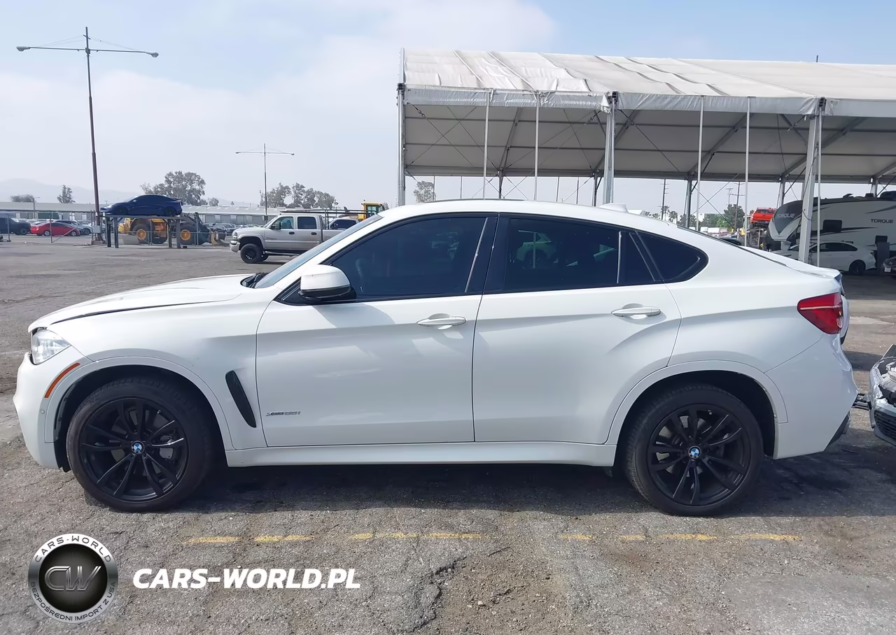 2018 BMW X6 xDrive50I VIN:5UXKU6C58J0Z66622 - 15