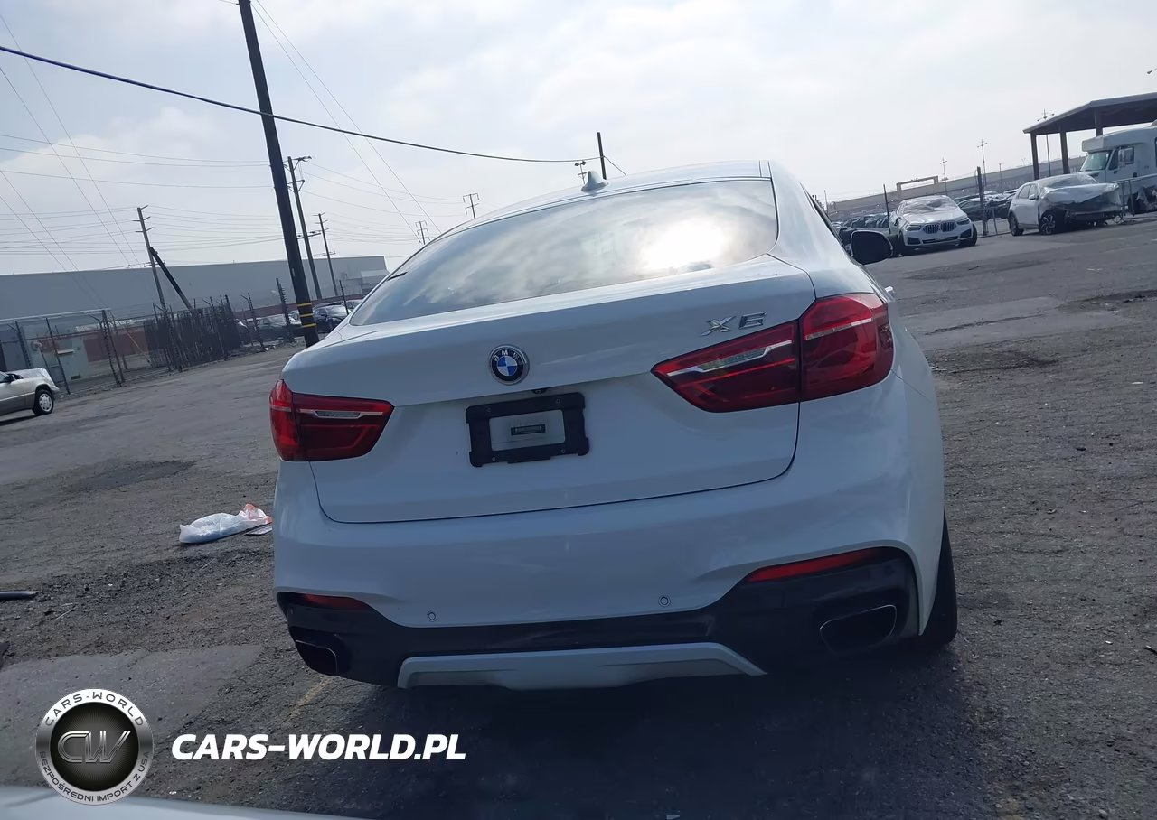 2018 BMW X6 xDrive50I VIN:5UXKU6C58J0Z66622 - 17