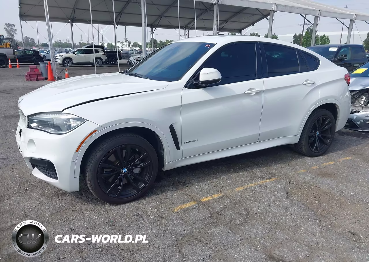 2018 BMW X6 xDrive50I VIN:5UXKU6C58J0Z66622 - 2