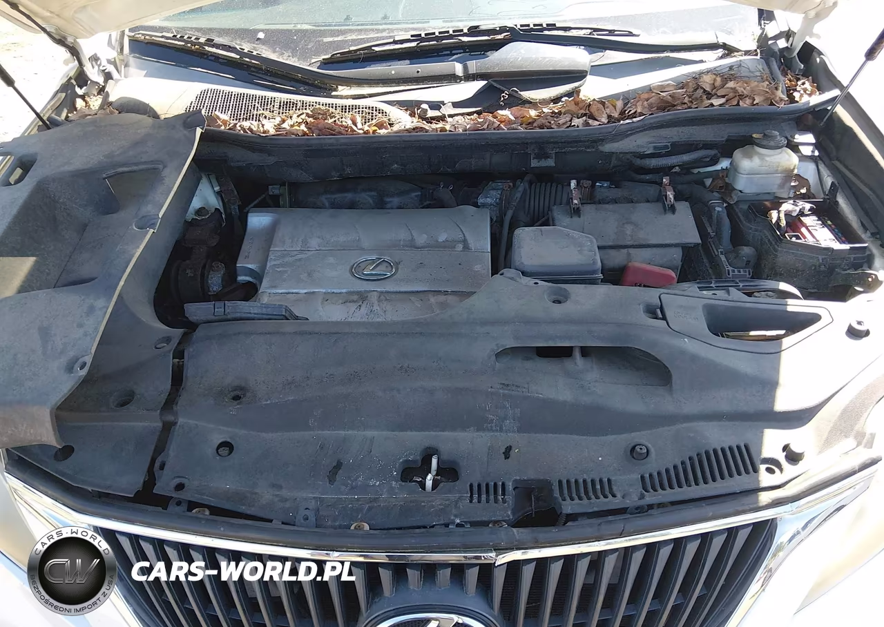 2010 Lexus Rx 350 VIN:2T2BK1BA2AC006531 - 10
