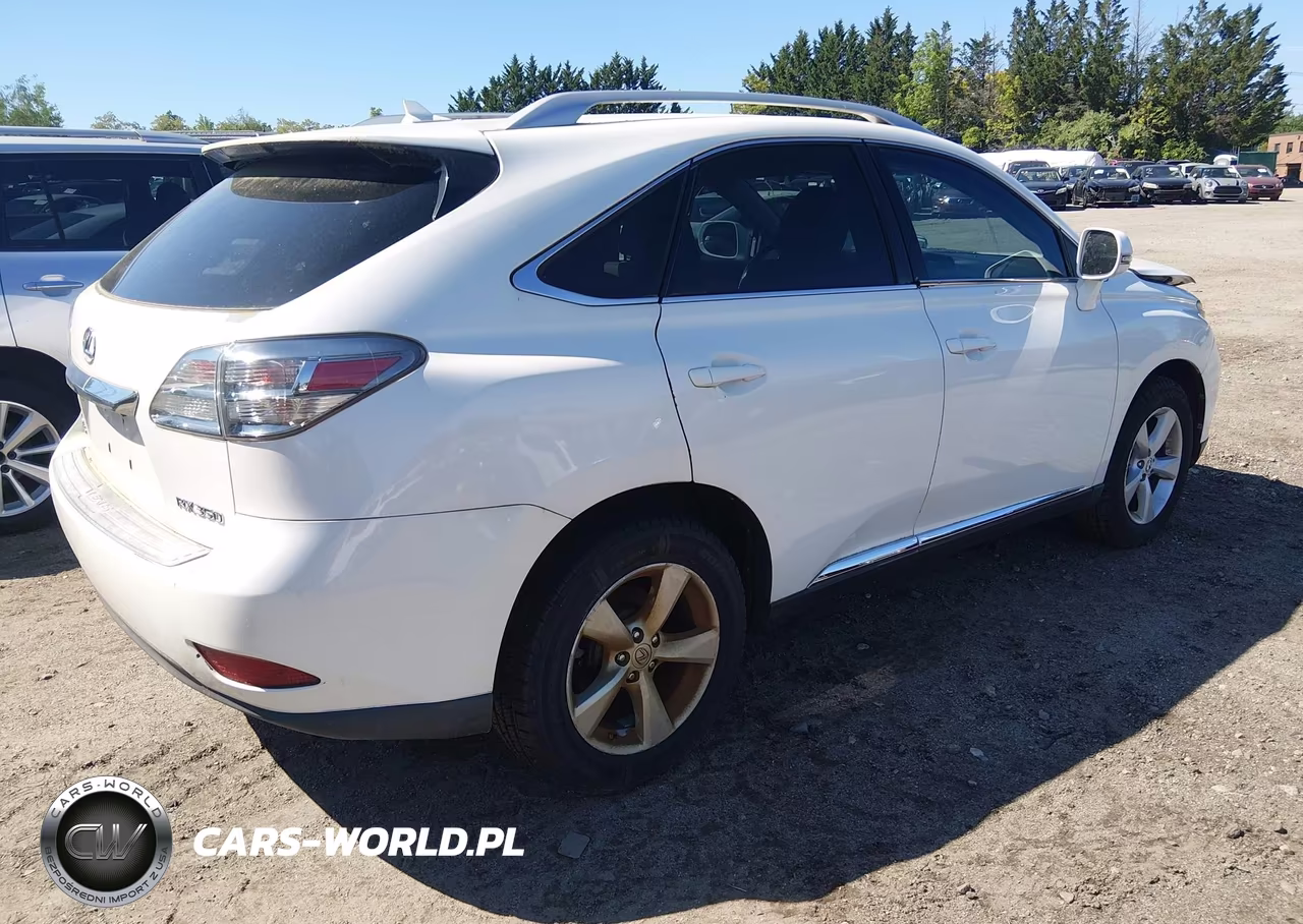 2010 Lexus Rx 350 VIN:2T2BK1BA2AC006531 - 4