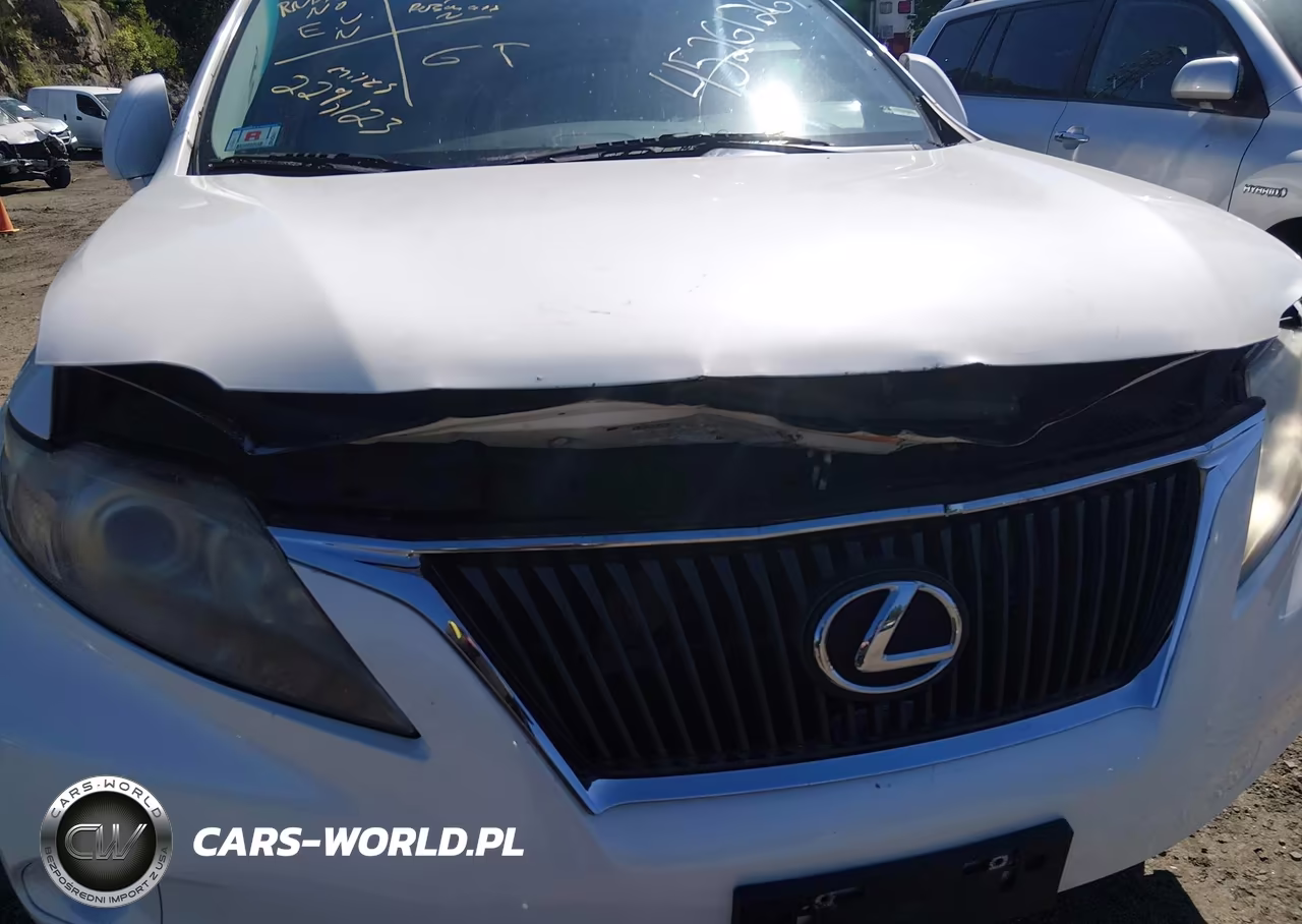 2010 Lexus Rx 350 VIN:2T2BK1BA2AC006531 - 6