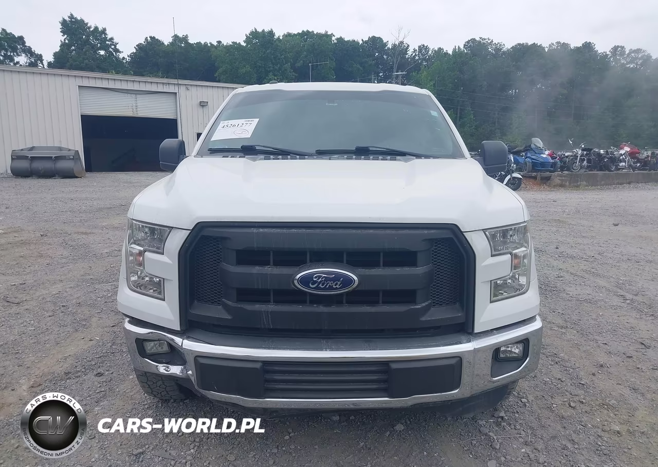 2016 Ford F-150 Xl VIN:1FTEX1C80GFD58618 - 12