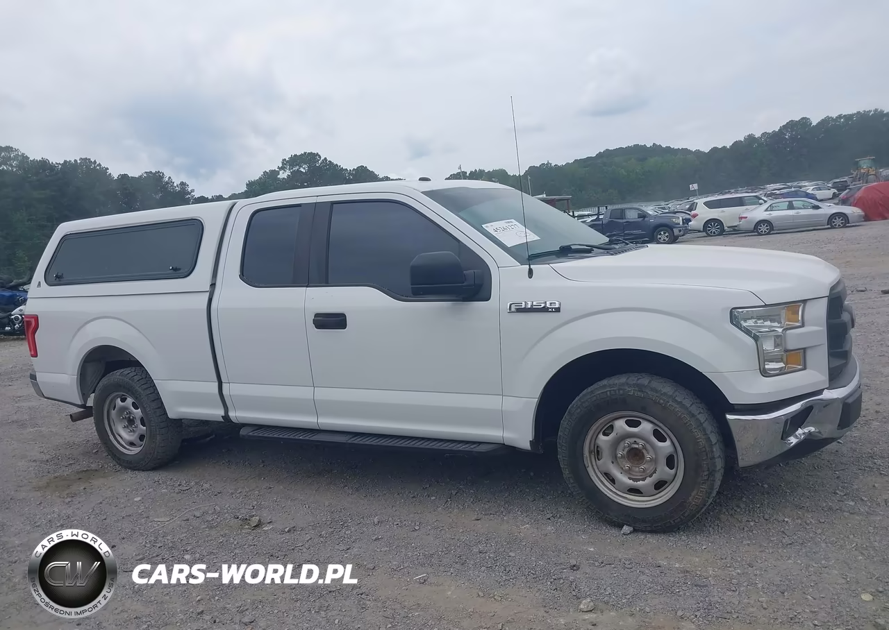 2016 Ford F-150 Xl VIN:1FTEX1C80GFD58618 - 13