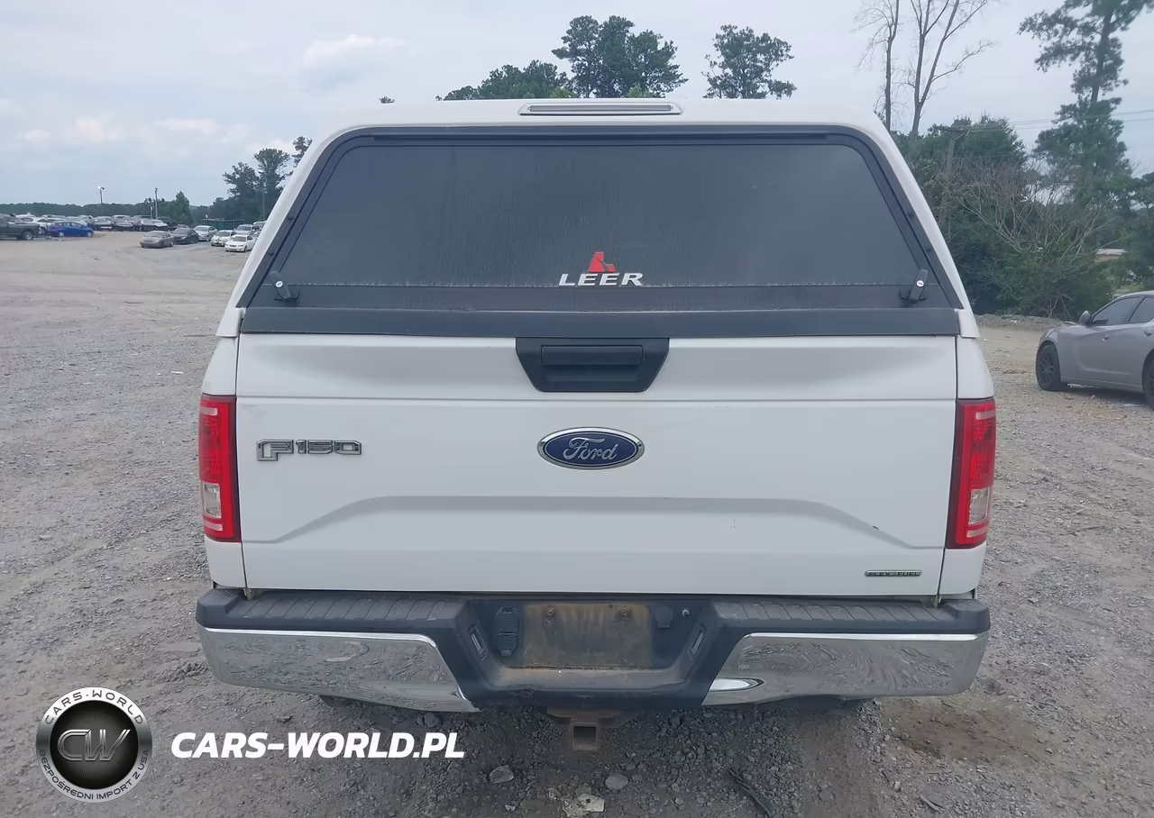 2016 Ford F-150 Xl VIN:1FTEX1C80GFD58618 - 16