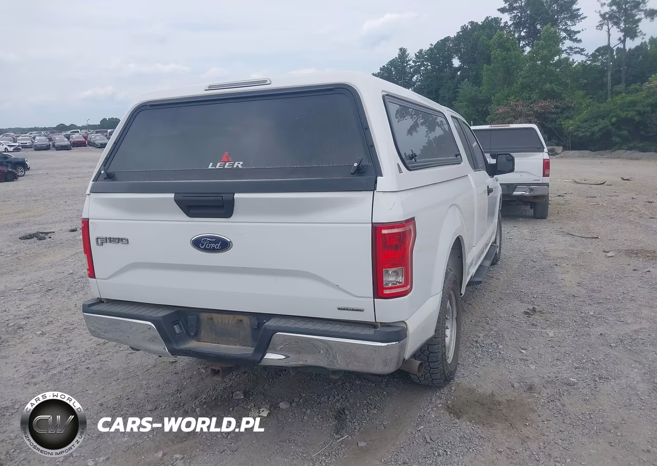 2016 Ford F-150 Xl VIN:1FTEX1C80GFD58618 - 4