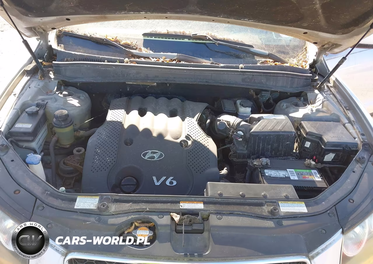 2007 Hyundai Santa Fe Gls VIN:5NMSG13D47H094290 - 10