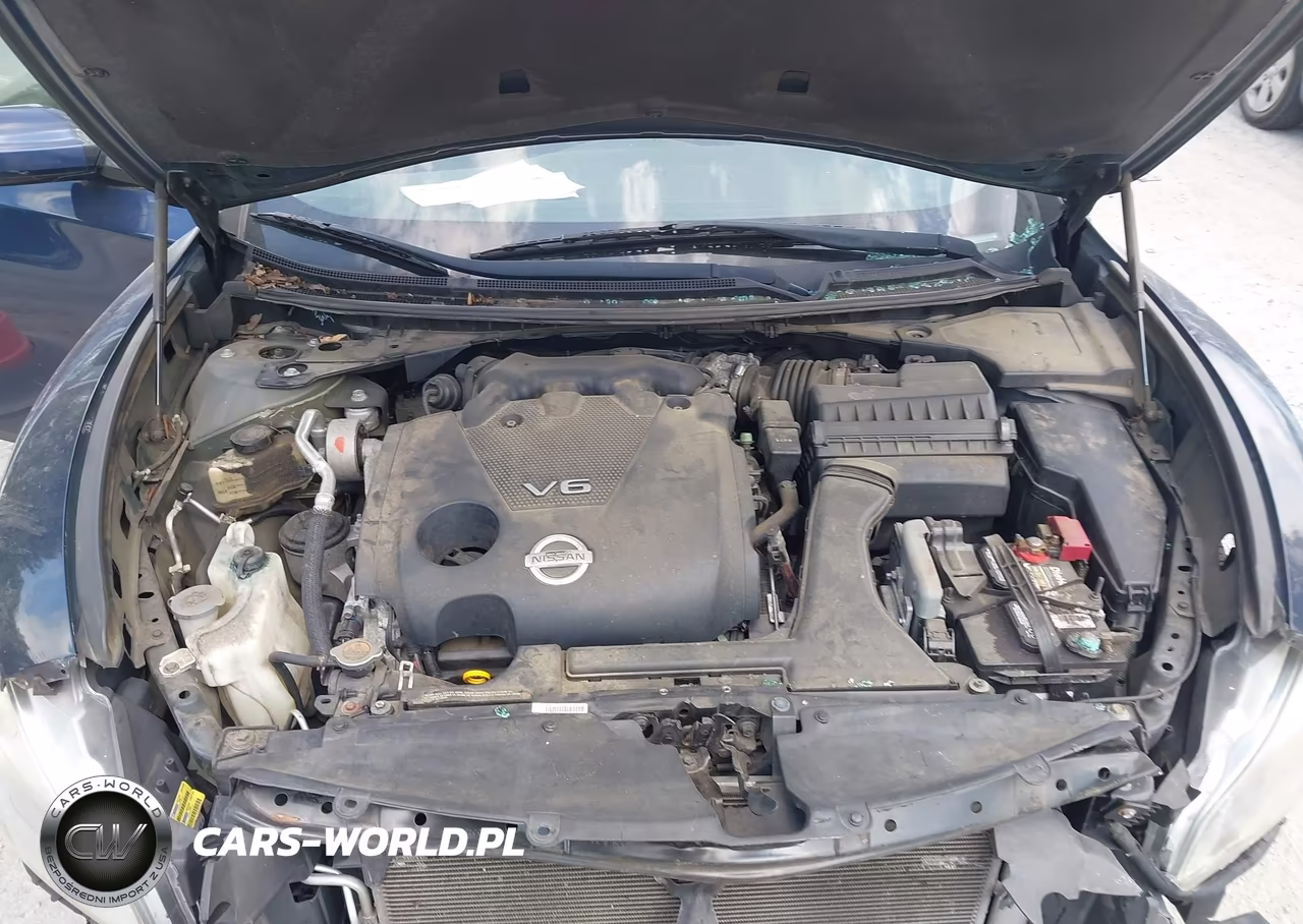 2010 Nissan Maxima 3.5 S VIN:1N4AA5AP6AC873770 - 10