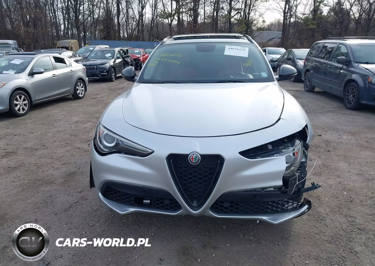 2019 Alfa Romeo Stelvio Sport Awd VIN:ZASPAKAN3K7C69645 - 12
