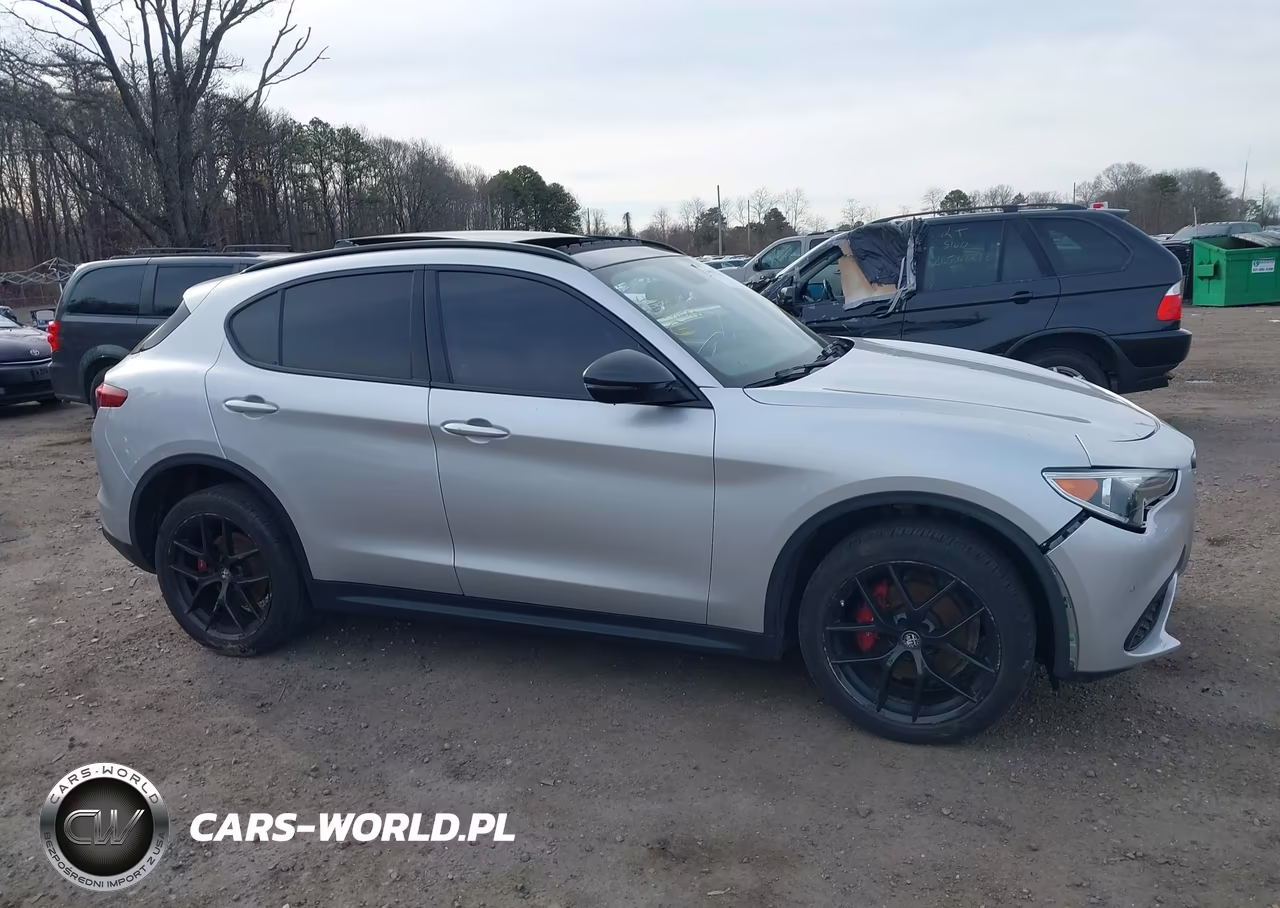 2019 Alfa Romeo Stelvio Sport Awd VIN:ZASPAKAN3K7C69645 - 13