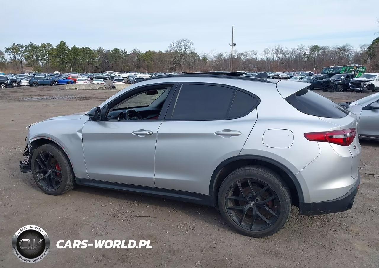 2019 Alfa Romeo Stelvio Sport Awd VIN:ZASPAKAN3K7C69645 - 14