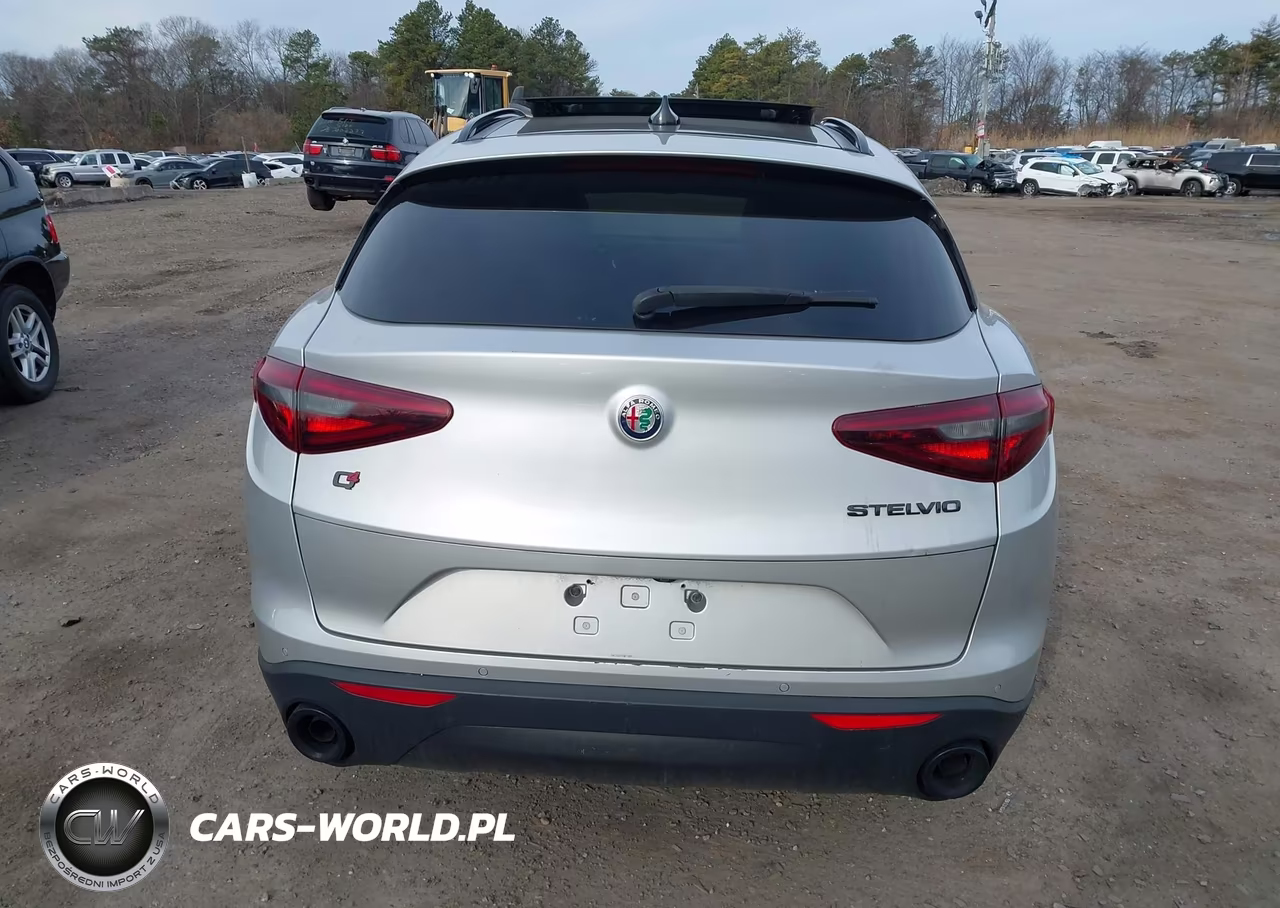 2019 Alfa Romeo Stelvio Sport Awd VIN:ZASPAKAN3K7C69645 - 16
