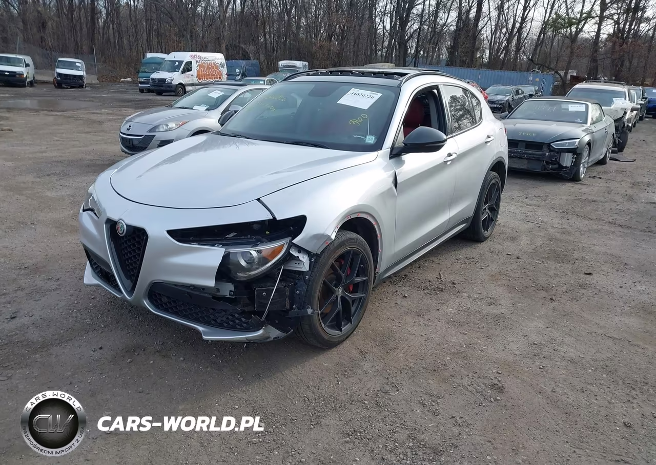 2019 Alfa Romeo Stelvio Sport Awd VIN:ZASPAKAN3K7C69645 - 2