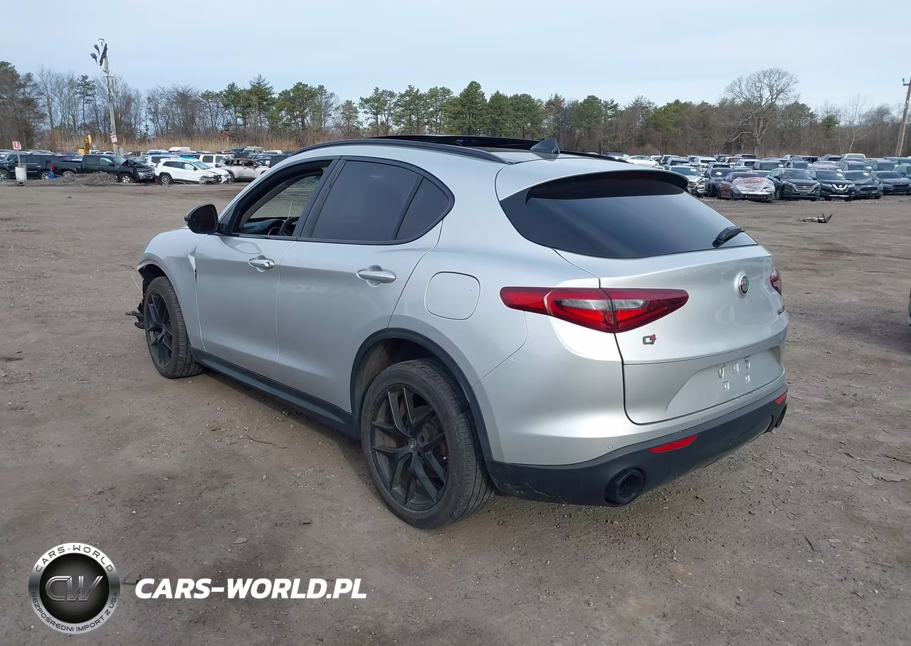2019 Alfa Romeo Stelvio Sport Awd VIN:ZASPAKAN3K7C69645 - 3