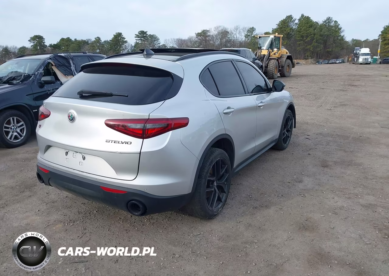 2019 Alfa Romeo Stelvio Sport Awd VIN:ZASPAKAN3K7C69645 - 4
