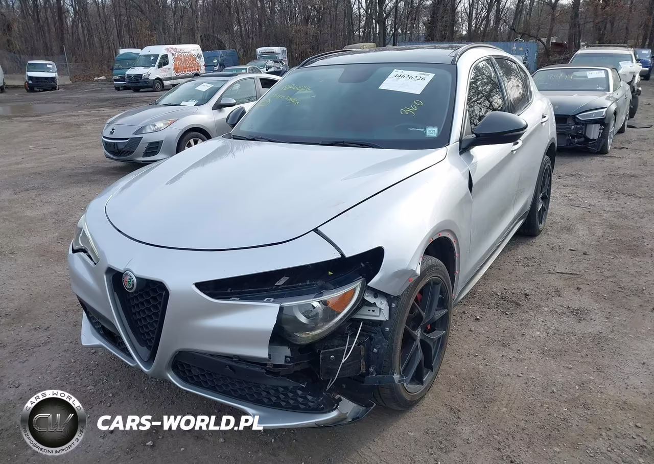 2019 Alfa Romeo Stelvio Sport Awd VIN:ZASPAKAN3K7C69645 - 6