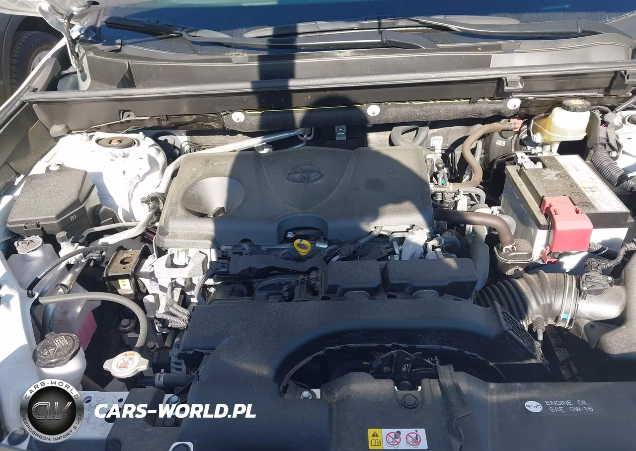 2019 Toyota Rav4 Xle VIN:JTMP1RFV8KD505136 - 10