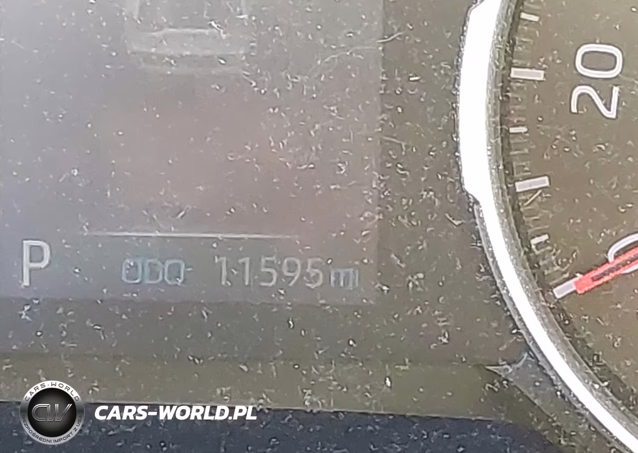 2019 Toyota Rav4 Xle VIN:JTMP1RFV8KD505136 - 15