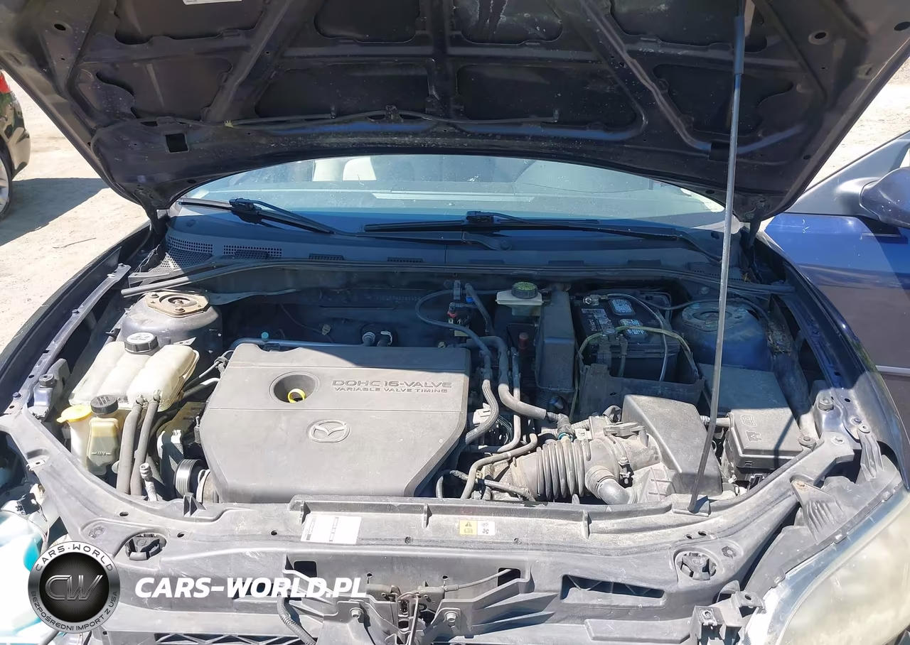 2009 Mazda Mazda3 I VIN:JM1BK32F791189663 - 10