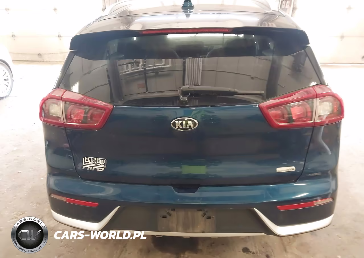 2019 Kia Niro Lx VIN:KNDCB3LC2K5250683 - 16