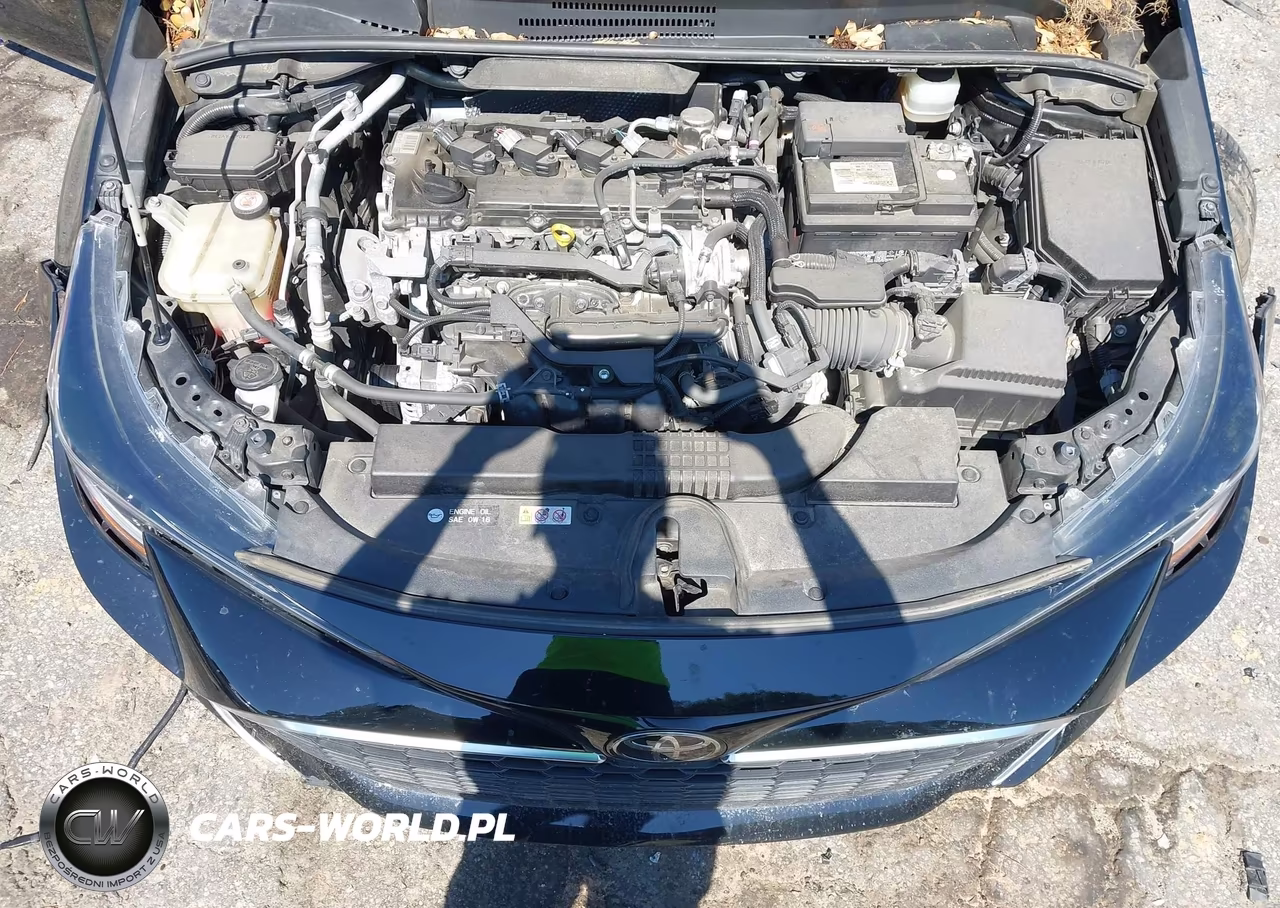 2019 Toyota Corolla Xse VIN:JTNK4RBE9K3045557 - 10
